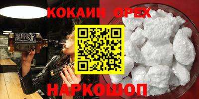 крисы Новодвинск