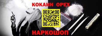 крисы Новодвинск