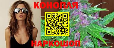 крисы Новодвинск