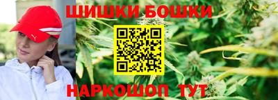 крисы Новодвинск