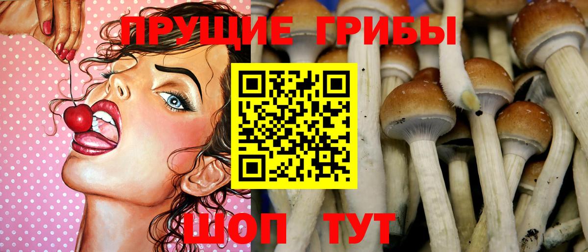 Галлюциногенные грибы Magic Shrooms Татарск
