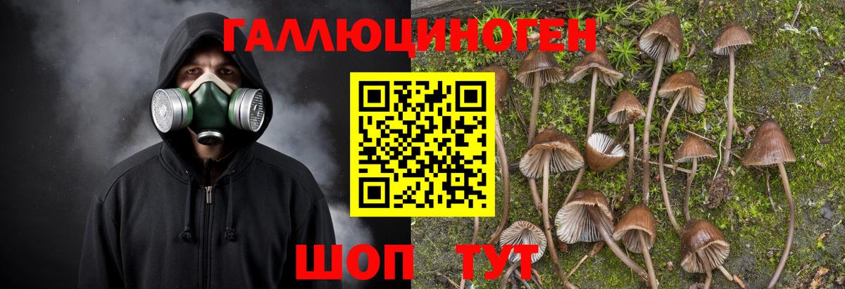 Татарск  Галлюциногенные грибы прущие грибы  Вход с VPN  Псилоцибиновые грибы Magic Shrooms 
